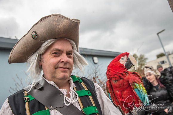 The Extraordinary Orchard Park Parade, Hull