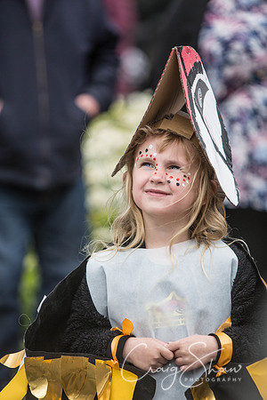 The Extraordinary Orchard Park Parade, Hull