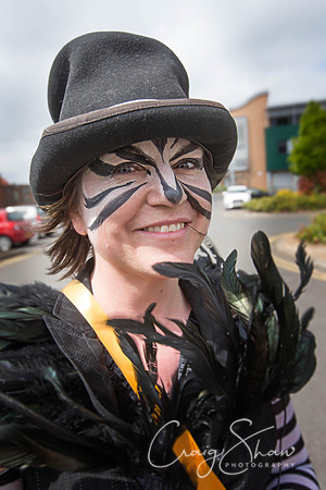 The Extraordinary Orchard Park Parade, Hull