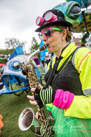 The Extraordinary Orchard Park Parade, Hull