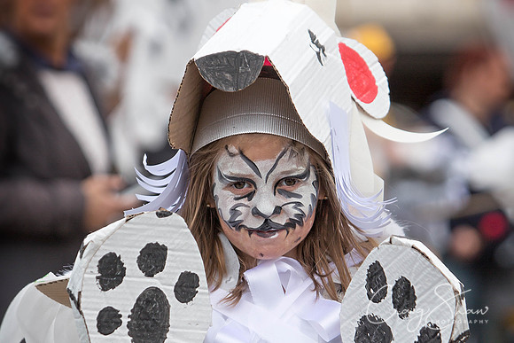 The Extraordinary Orchard Park Parade, Hull