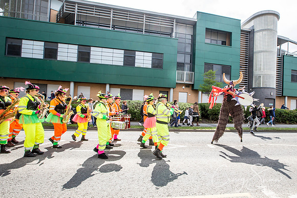 The Extraordinary Orchard Park Parade, Hull
