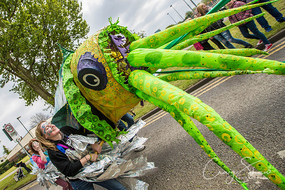 The Extraordinary Orchard Park Parade, Hull