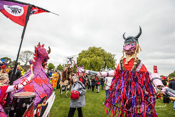 The Extraordinary Orchard Park Parade, Hull