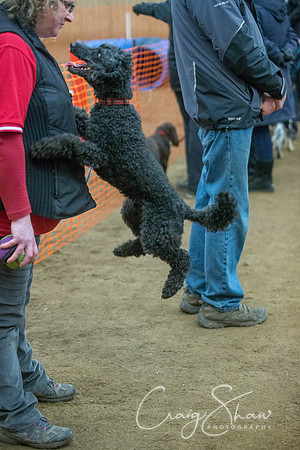 1628_springfling2015_bluplanetphoto