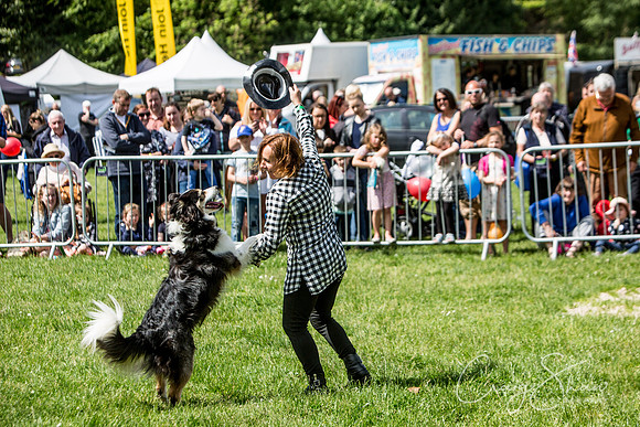 Todmorden Country Fair