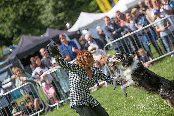 Todmorden Country Fair