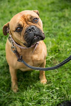 Todmorden Country Fair