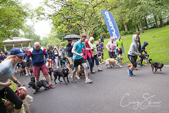 Doggy Dash for Life