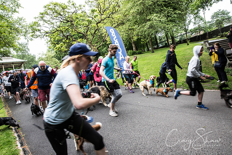 Doggy Dash for Life
