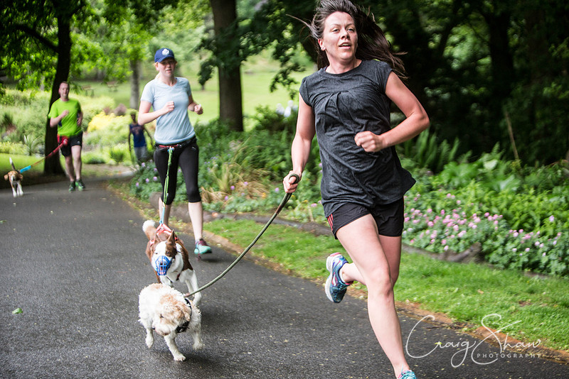 Doggy Dash for Life