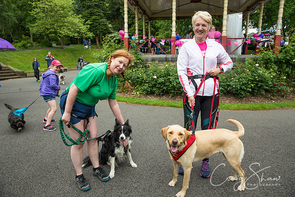 Doggy Dash for Life