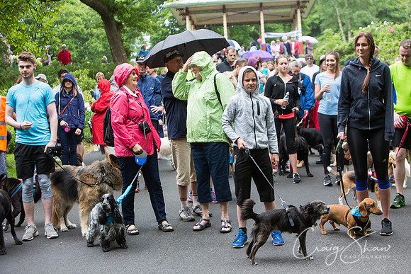 Doggy Dash for Life