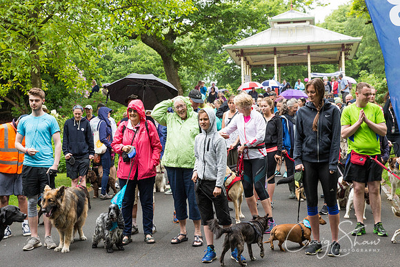 Doggy Dash for Life