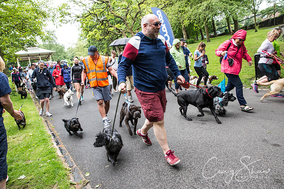 Doggy Dash for Life