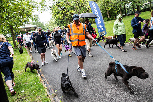 Doggy Dash for Life