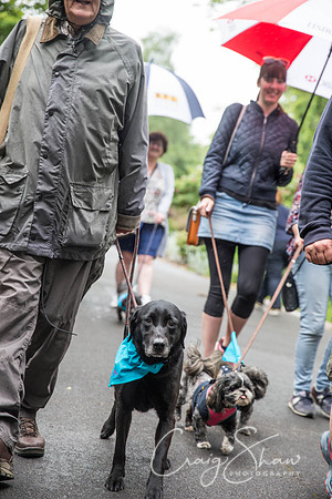 Doggy Dash for Life