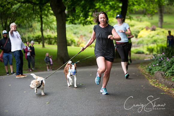 Doggy Dash for Life