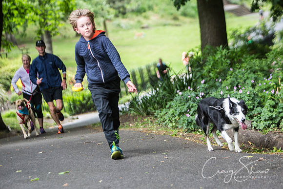 Doggy Dash for Life