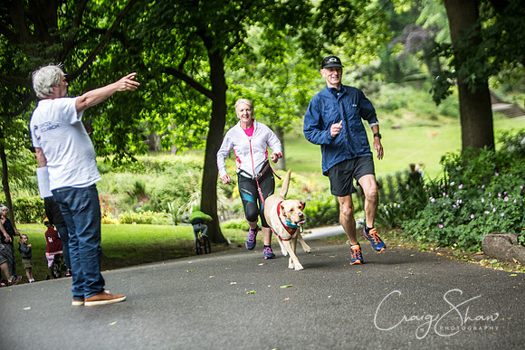 Doggy Dash for Life