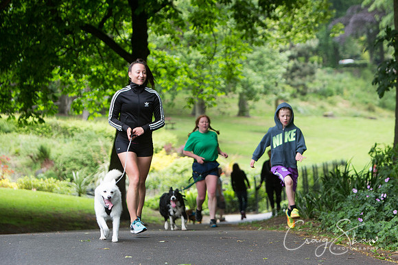 Doggy Dash for Life