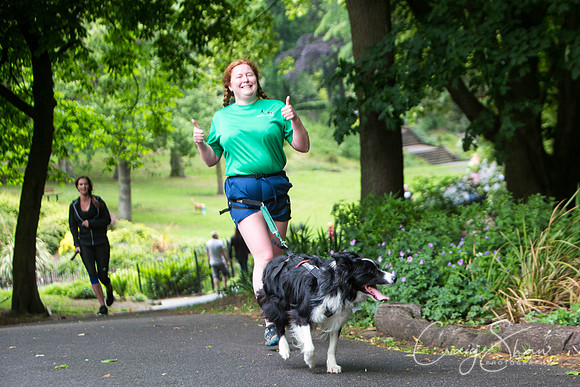 Doggy Dash for Life