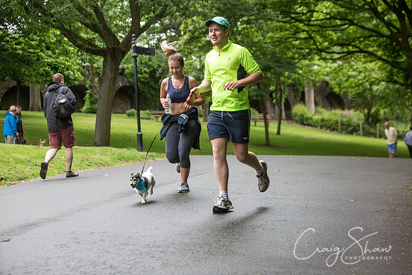 Doggy Dash for Life