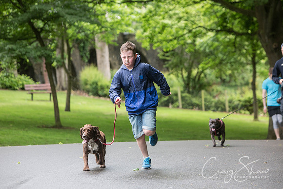 Doggy Dash for Life