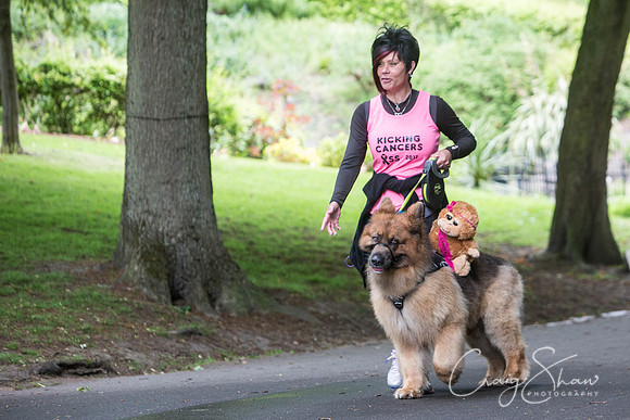 Doggy Dash for Life