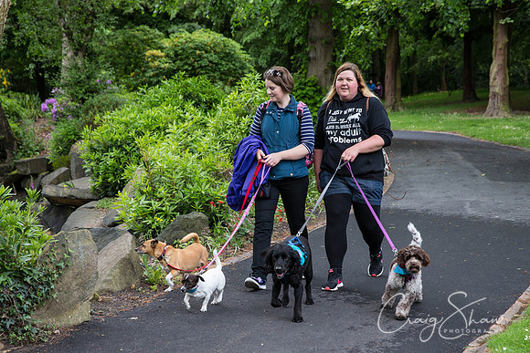 Doggy Dash for Life