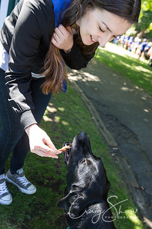 Doggy Dash for Life