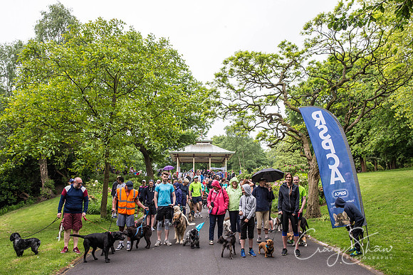 Doggy Dash for Life