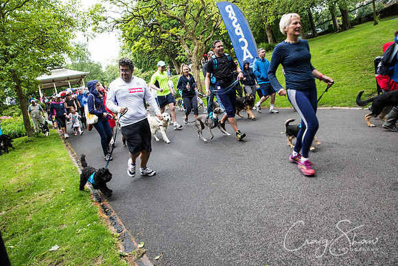 Doggy Dash for Life