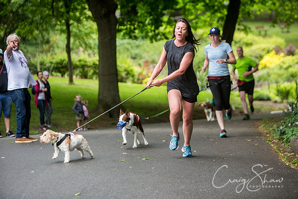Doggy Dash for Life
