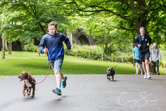 Doggy Dash for Life