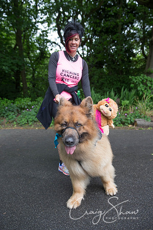 Doggy Dash for Life
