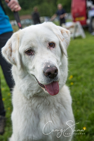Todmorden Country Fair