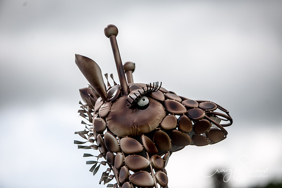 Todmorden Country Fair