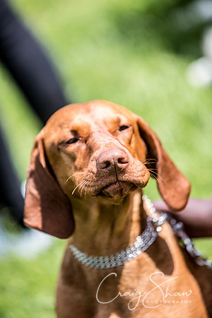 Todmorden Country Fair