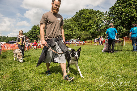 Todmorden Country Fair