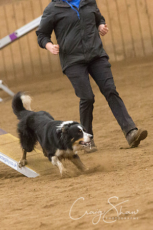 2994_SpringFling2014_bluplanetphoto