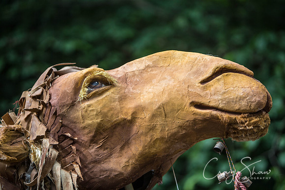72_HandmadeParade2014_craigshaw