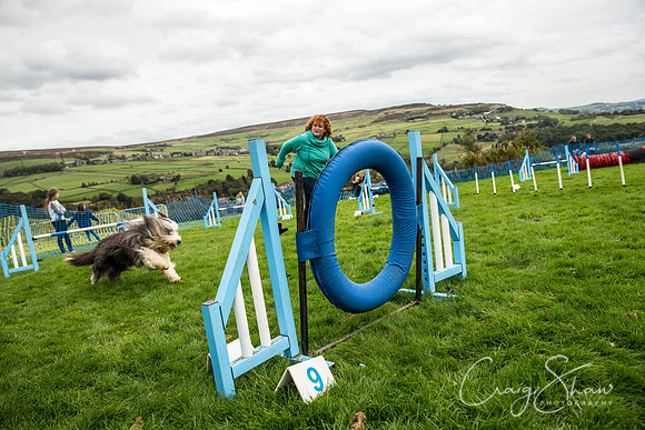 930_Woofstock2016_craigshaw