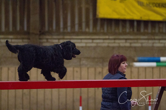 spring fling 2012-855