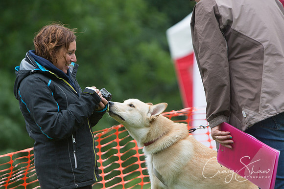 385_FunDay2017_PAWS_craigshaw