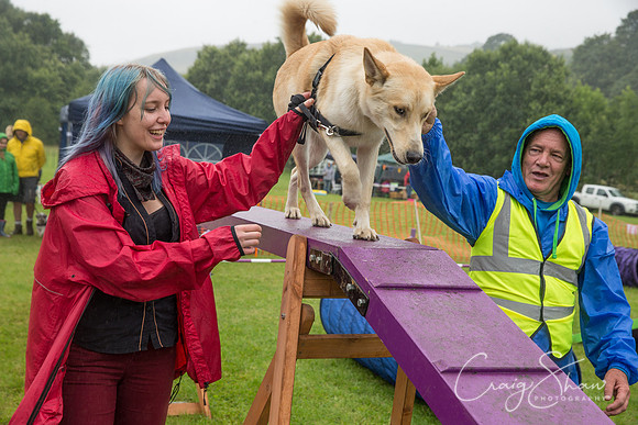 899_FunDay2017_PAWS_craigshaw