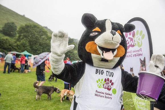 1179_FunDay2017_PAWS_craigshaw