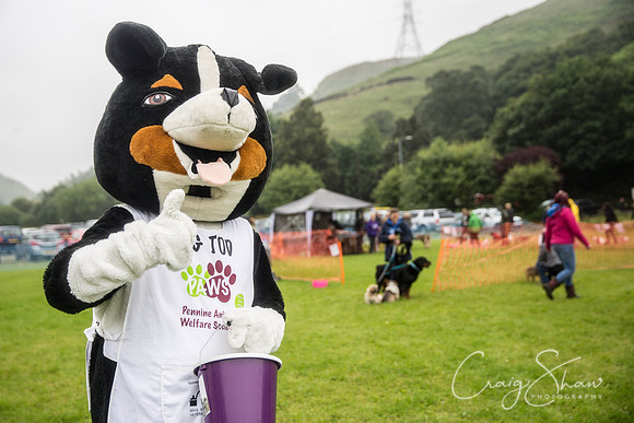 1186_FunDay2017_PAWS_craigshaw