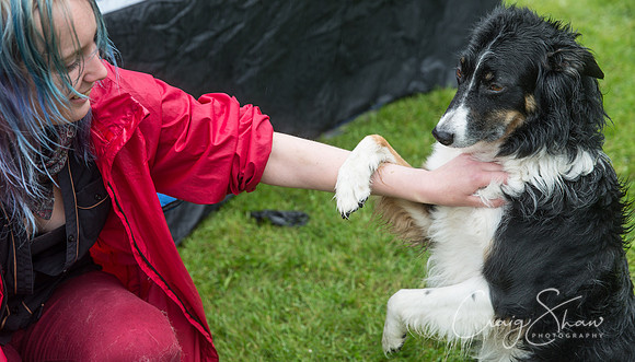 1484_FunDay2017_PAWS_craigshaw