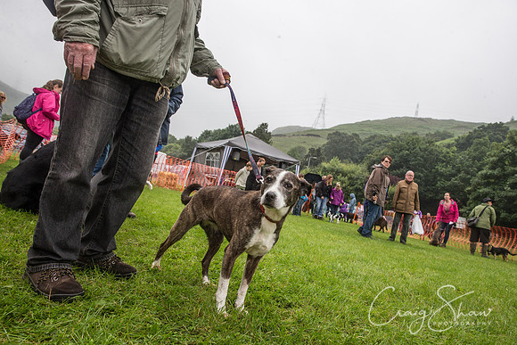 1671_FunDay2017_PAWS_craigshaw